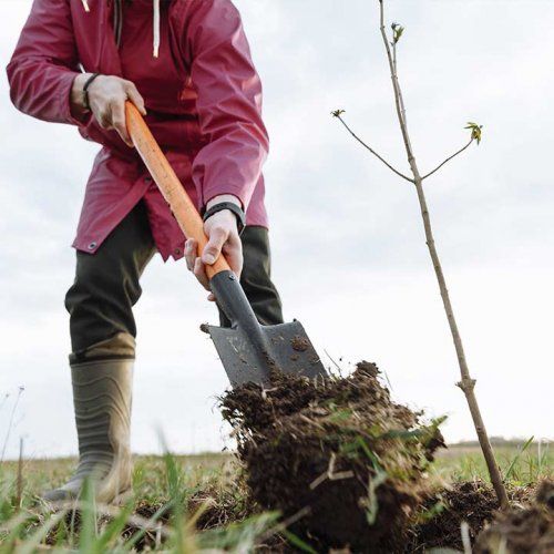 Productos de jardinería